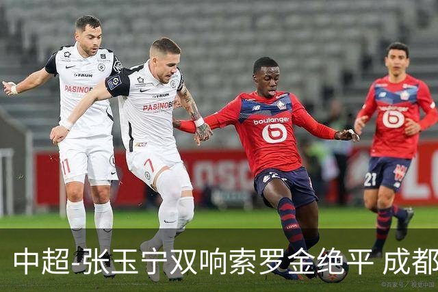 中超-张玉宁双响索罗金绝平 成都连扳两球2-2国安4连平